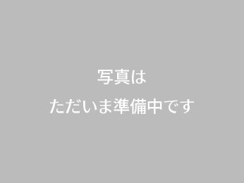 写真はただいま準備中です